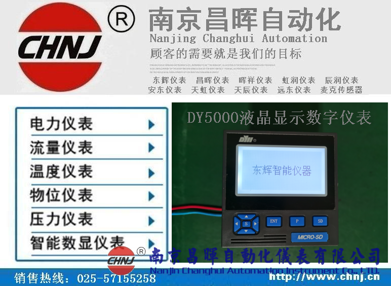 DY21ZL、DY22ZL00、DY59ZL60、DY5000（ZL）液晶顯示數(shù)字儀表